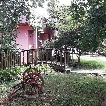 Pousada Casa Da Onca إلها كومبريدا المظهر الخارجي الصورة